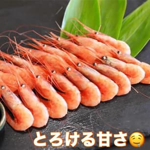 インスタグラム