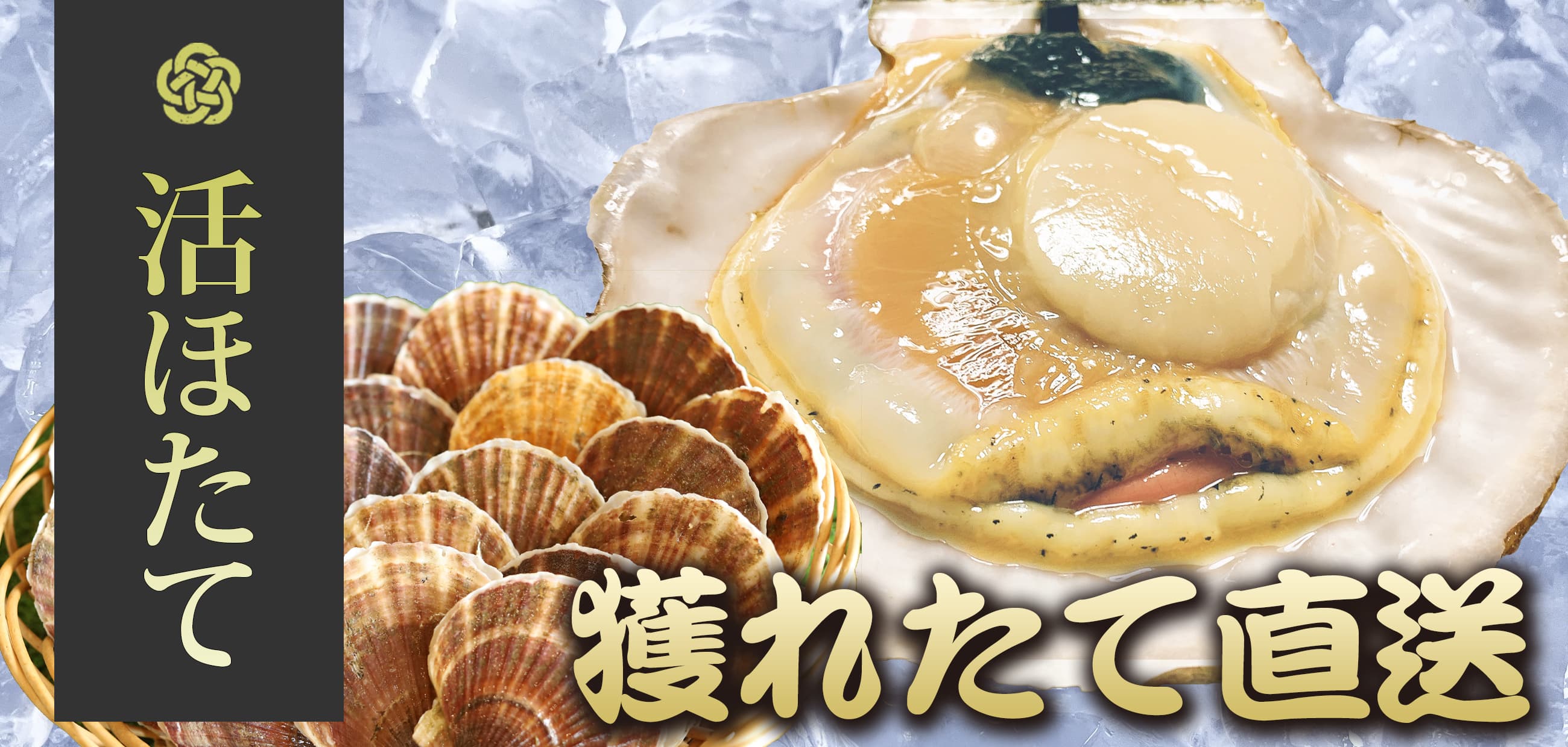 活ほたて