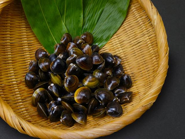常呂産 しじみ貝（急速冷凍）