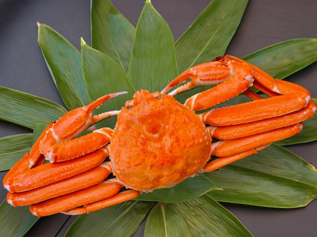 ずわいがに（姿) 600g前後 1杯 | 船長の家 (永田水産)