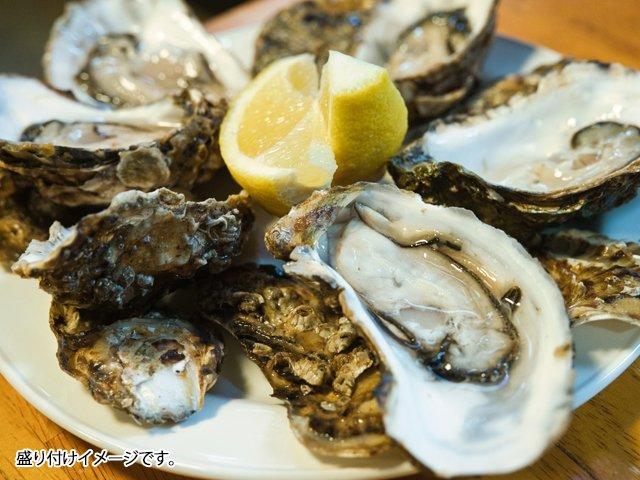 サロマ湖産 かき貝（1年物） 船長の家 (永田水産)