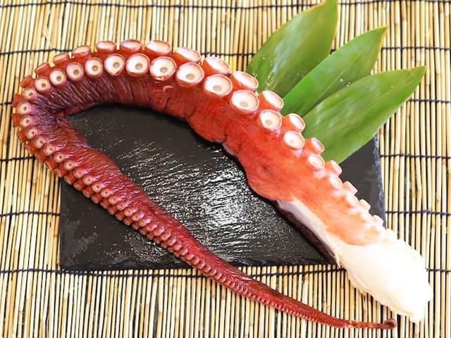 たこ足 | 船長の家 (永田水産)