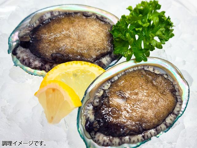 北海道産あわび刺身