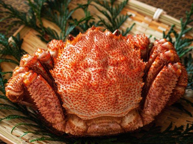 【冷蔵】浜茹で毛がに姿