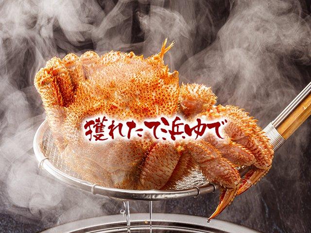 冷蔵】浜茹で毛がに姿 | 船長の家 (永田水産)