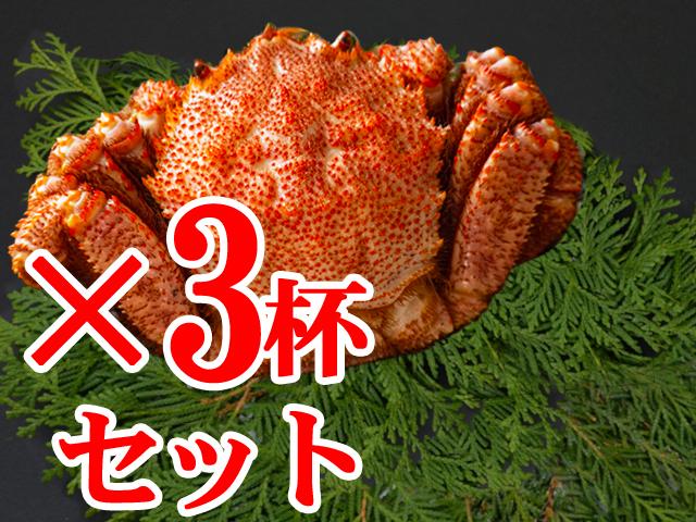 毛がに姿大サイズ（ボイル･冷凍）450g前後×３杯セット