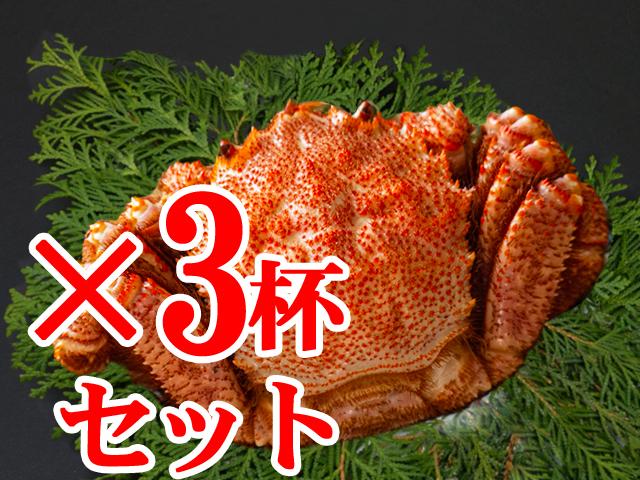 毛がに姿特大サイズ（ボイル･冷凍）570g前後×3杯セット