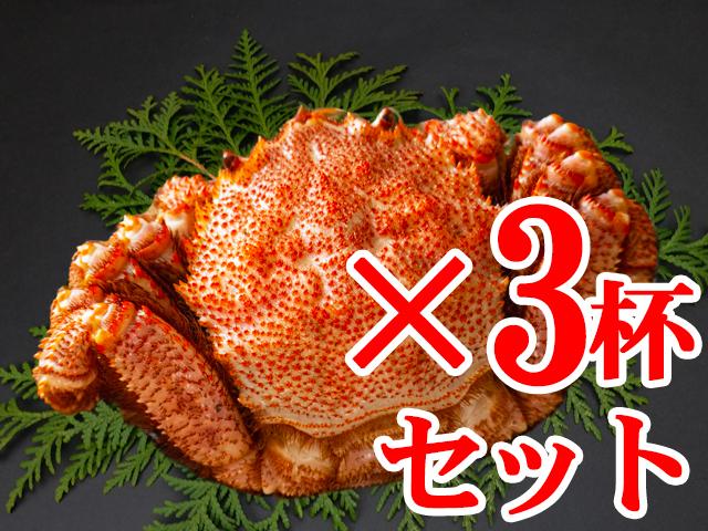 毛がに姿特々大サイズ（ボイル･冷凍）800g前後×3杯セット