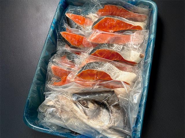 ときしらず（姿切り）1尾（2kg前後）