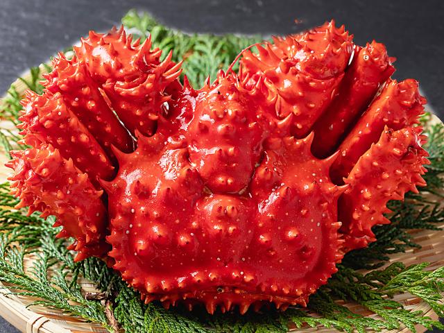 花咲ガニ姿（特大）800g前後