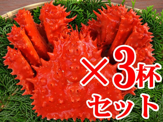花咲ガニ姿（大）３杯で約1500g