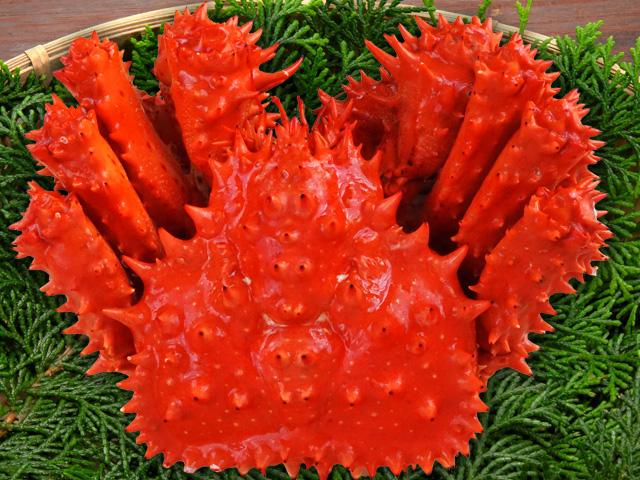 花咲がに（姿） | 船長の家 (永田水産)