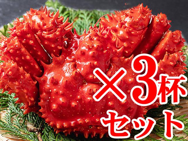 花咲ガニ姿（特大）3杯で2400g