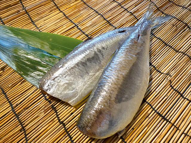 丸干しにしん一夜干し2本入