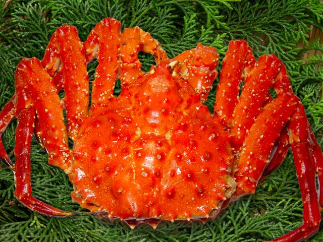 【30％Off】訳あり たらばかに姿（足折れ）約4.0kg