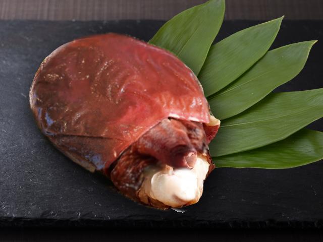 たこ頭（中）1玉（約620g）