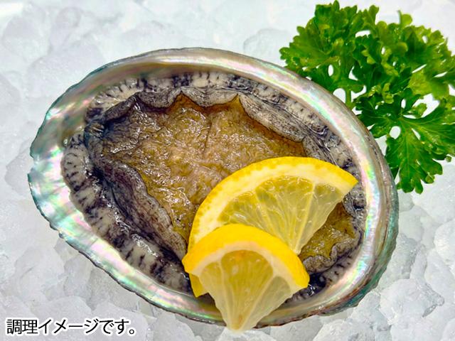 北海道産あわび刺身1個入り