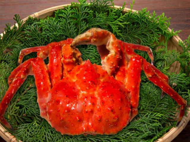 【30％Off】たらばがに姿約1.7kg