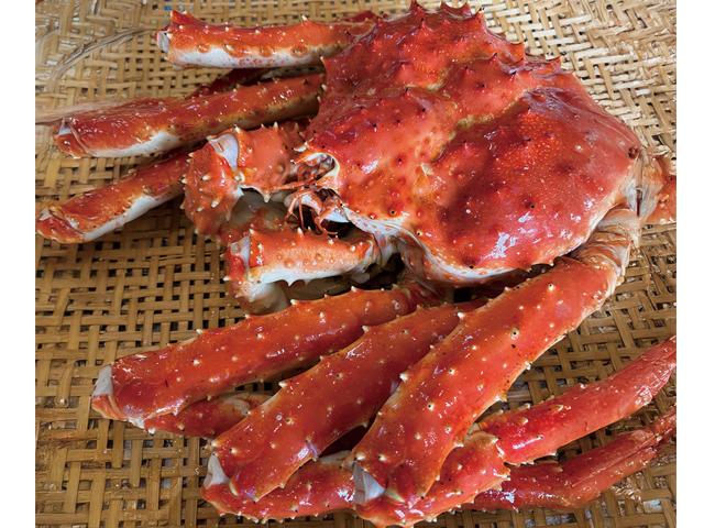 たらばがに姿3.9kg前後