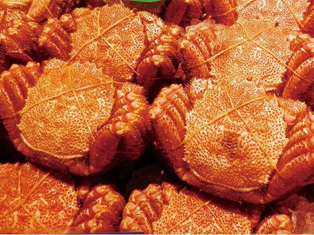 毛がに満杯詰（小）約2.8kg（11～13尾）