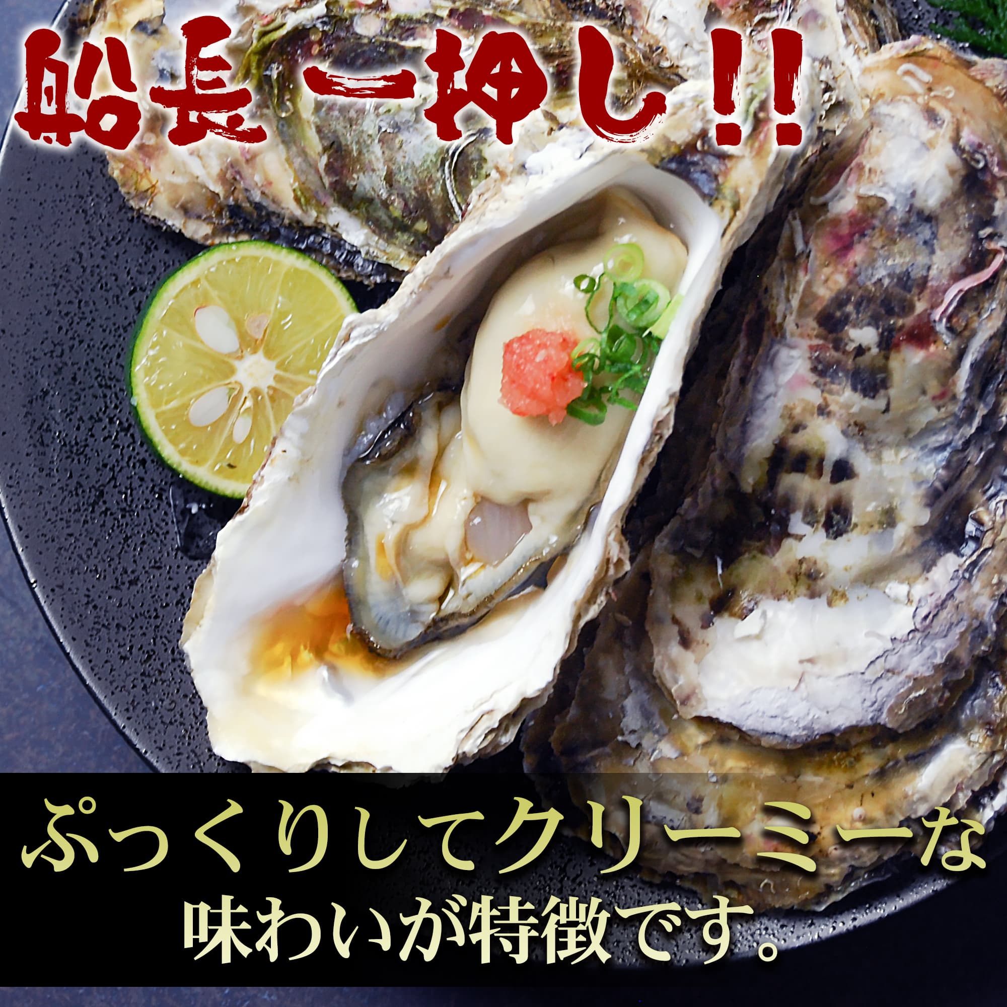 サロマ湖牡蠣貝|北海道オホーツク 船長の家